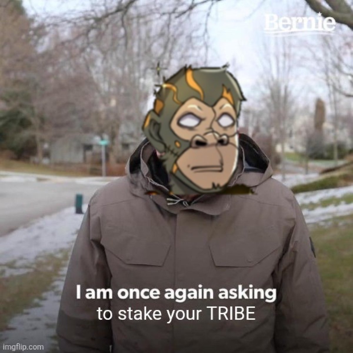 Stake your <a href="/tribeodyssey/">Tribe Odyssey</a> and let them work for you