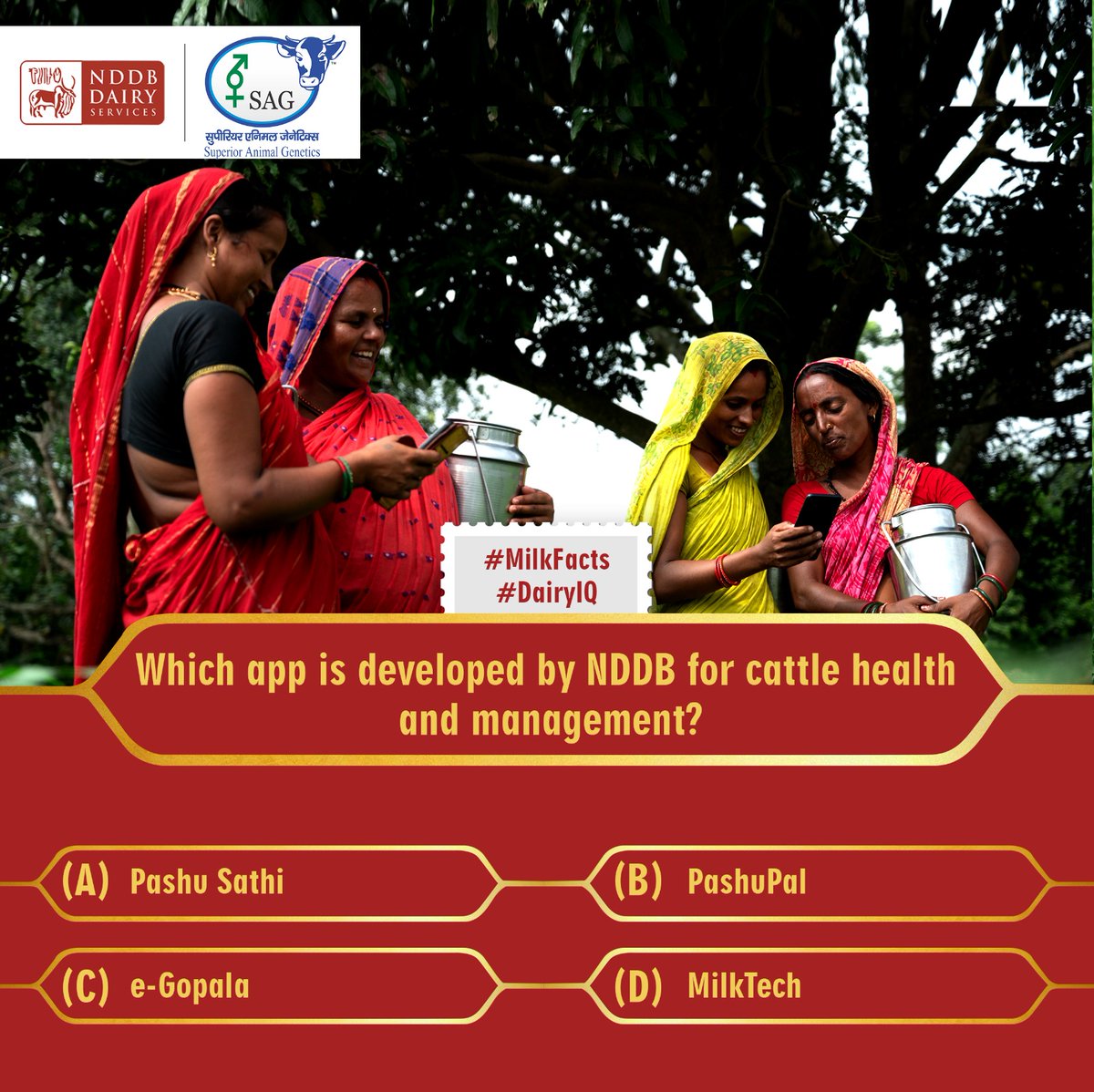 NDDBDairyServ's tweet image. Time for a #feedquiz
Dive into the #cattlefeed conversation and expand your knowledge! 
Share your response in the comments below.