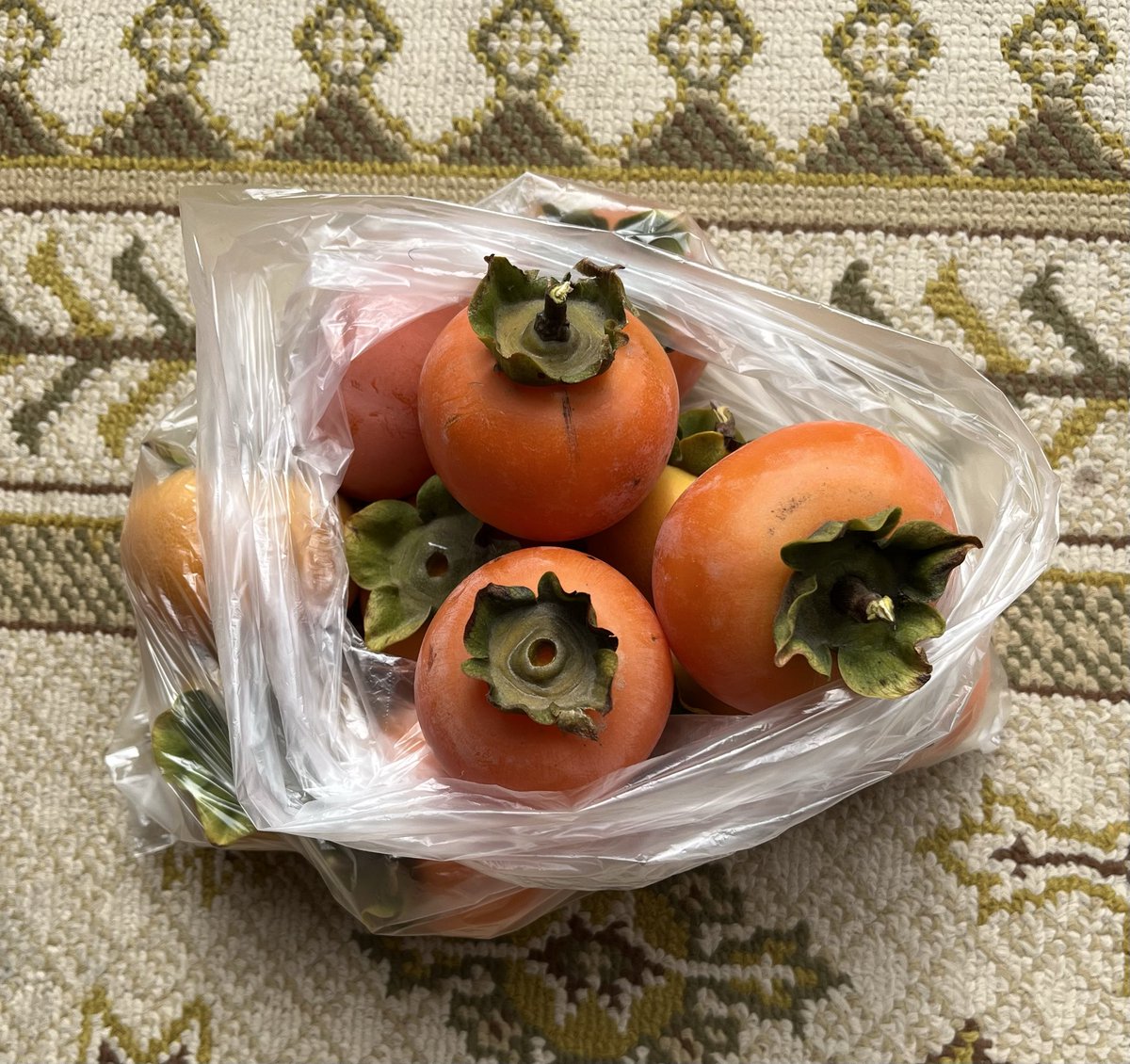 mabdzadeh's tweet photo. یه روزی بابا، نهال درخت خرمالو خرید و برای خواهرزاده‌ام که خرمالو دوست داشت، تو حیاط کاشت. حالا که به ثمر نشسته، بابا فوت کرده و خواهرزاده‌ام از ایران مهاجرت کرده! و من موندمو خرمالو‌هایی که اصلا دوستشون ندارم https://t.co/ZrT4LFmb0x