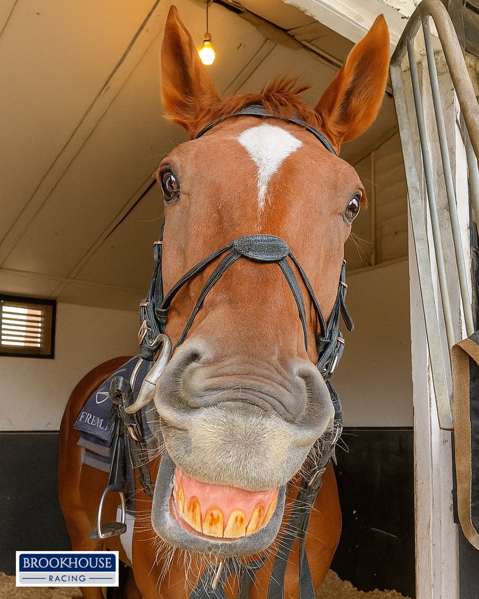 Brookhouse Racing tweet media