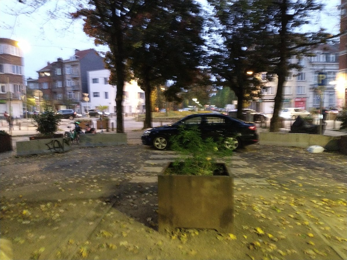 Jef Vandenbergen tweet media