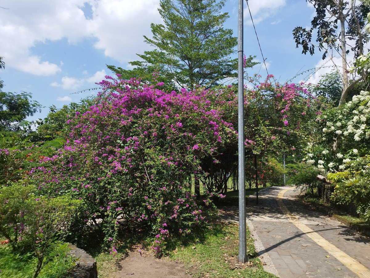 Wisdom Park UGM 📍