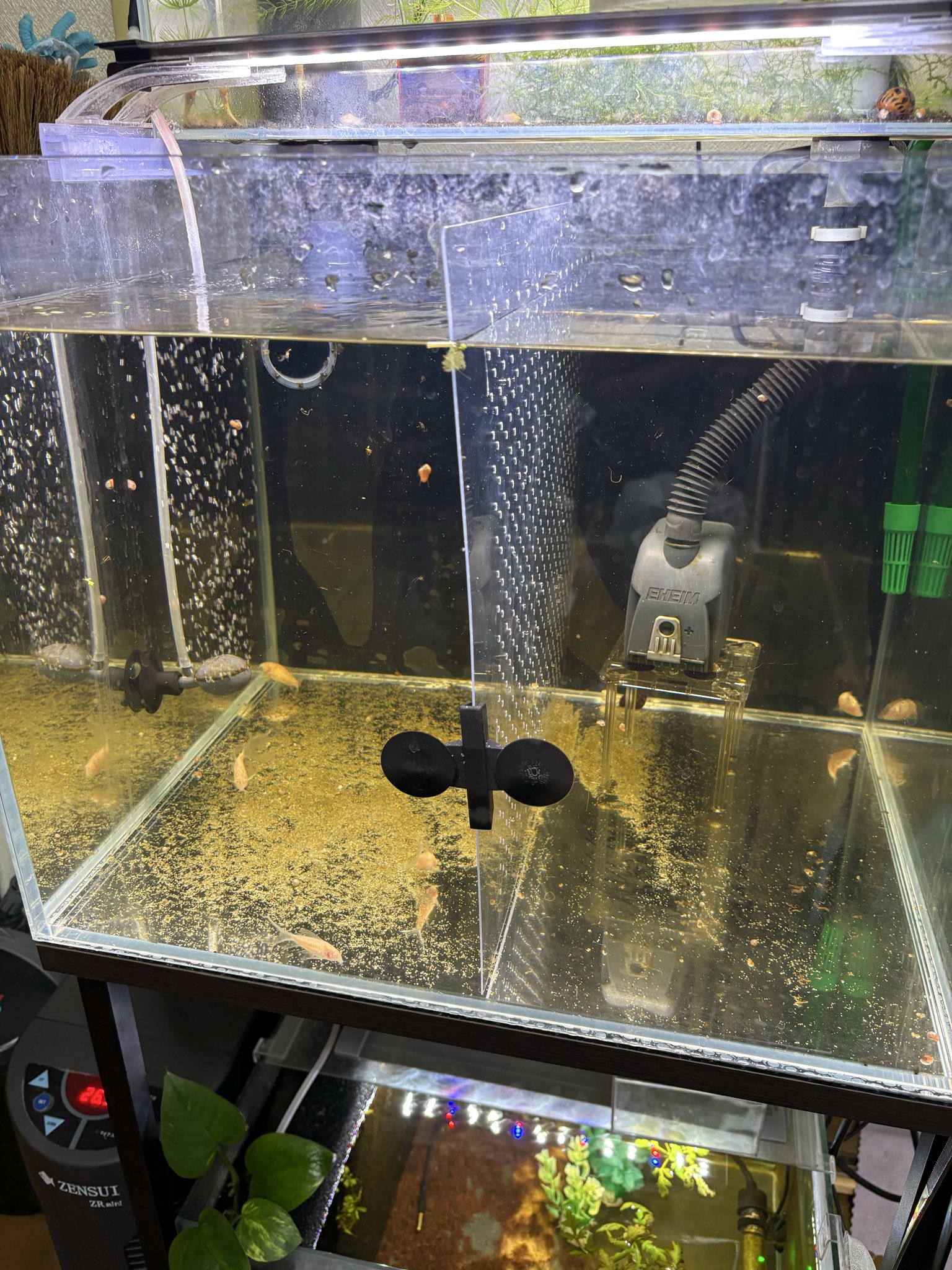 たけとら🦭 (@t_a_k_e_t_o_r_a) / X