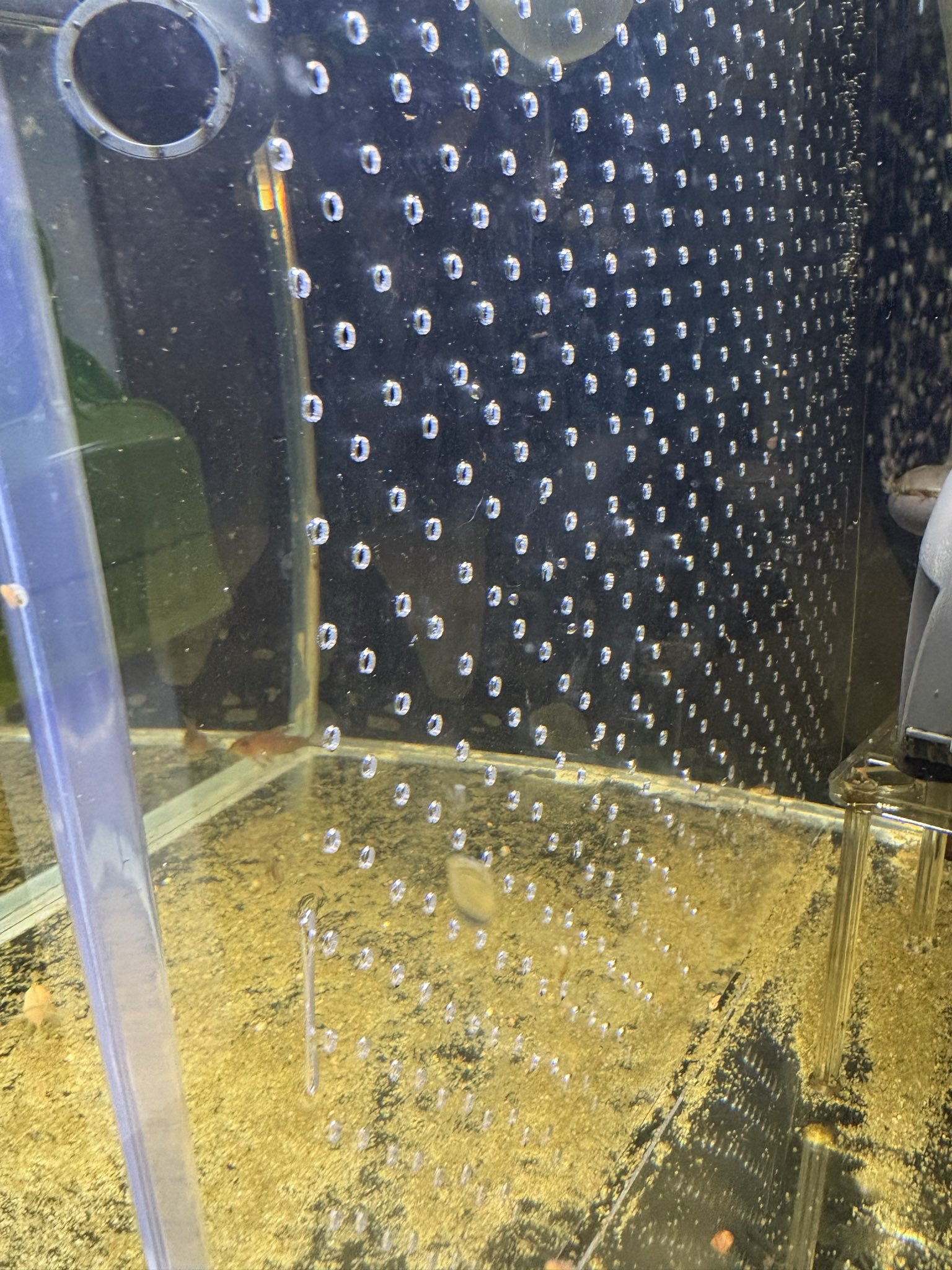 たけとら🦭 (@t_a_k_e_t_o_r_a) / X