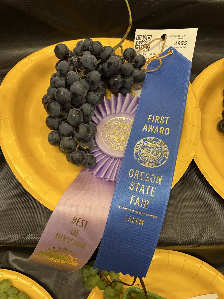 We cleaned up in our first go at the Oregon State Fair this year. We won some and lost some but it’s clear that using regenerative practices, organic amendments, and insect frass creates an award winning product!