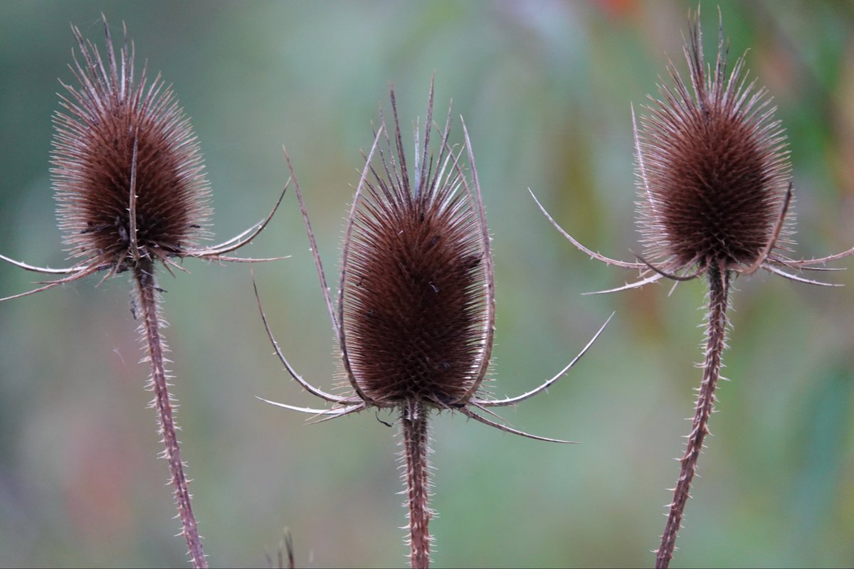 Goedemorgen. Fijne vrijdag.