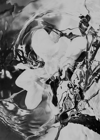 – ARRIVED –

Yesterday, 10 hours on the train to Augsburg | <a href="/DarkDomicile/">Domicile Dark Emotion</a> 
Your time to give me a peaceful morning.

Yes, my lady: tipfunder.com/LadyMara