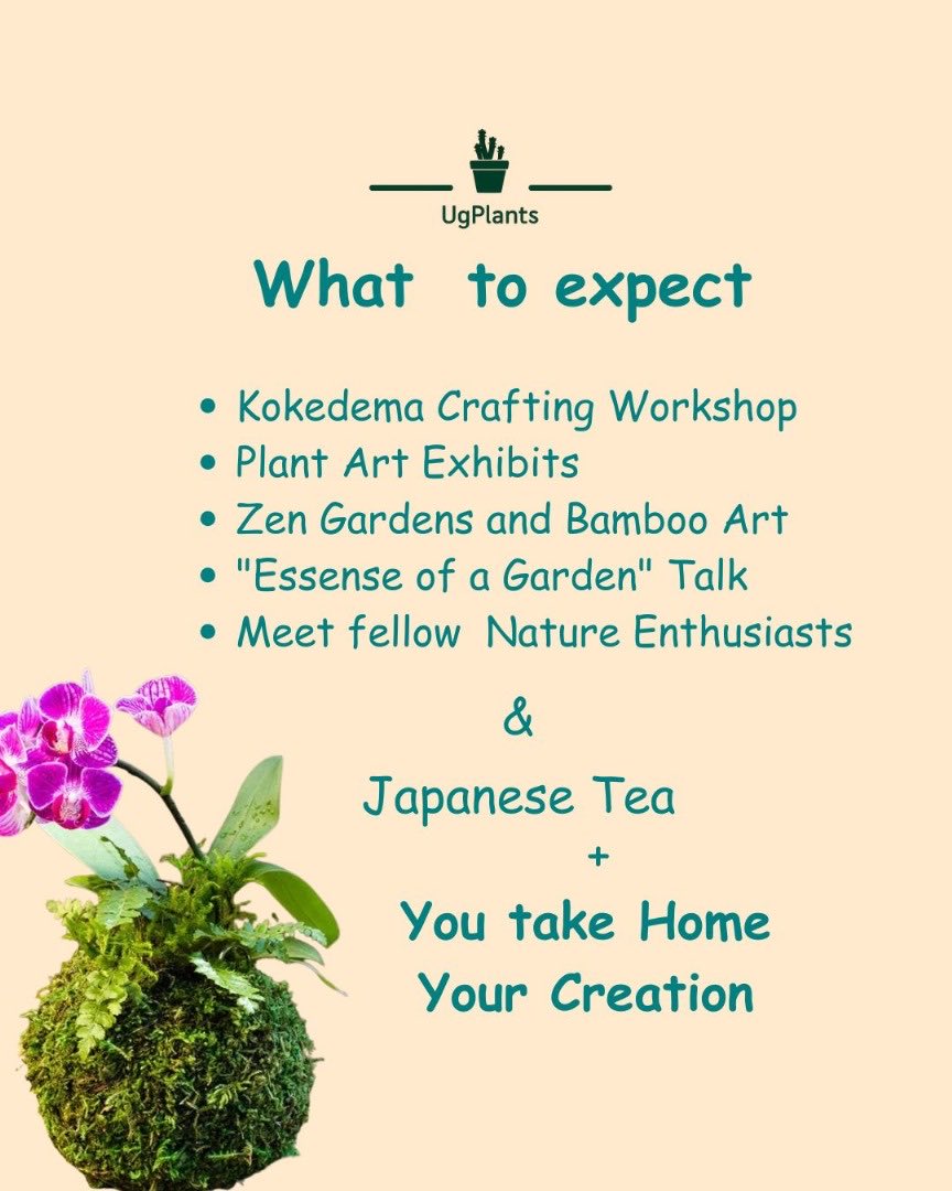 ugplants's tweet photo. When was the last time you touched soil? This is your invitation to slow down, touch soil and moss and create your own plant Art! #kokedemaworkshop https://t.co/XIw1znbruL