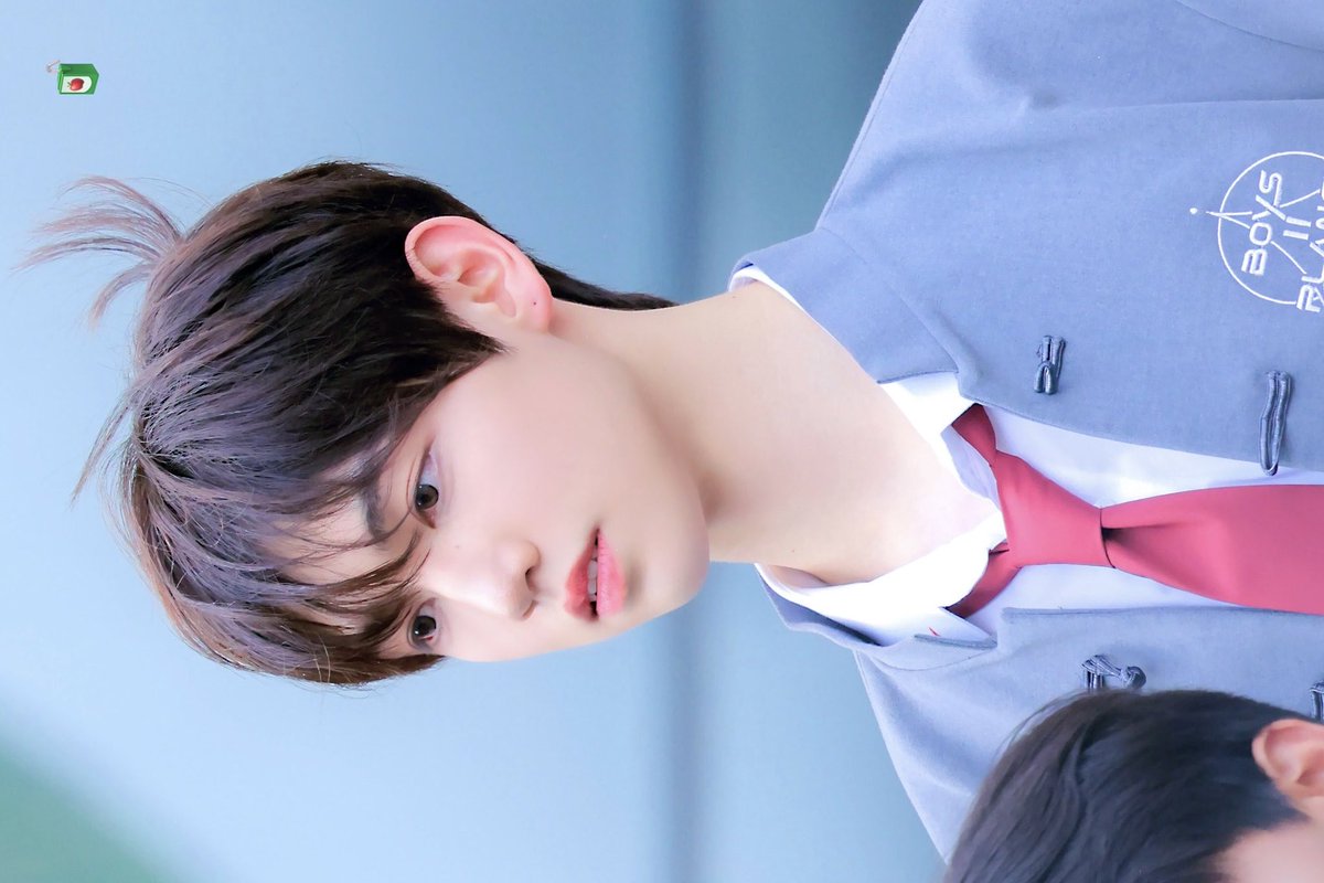 판두 tweet media