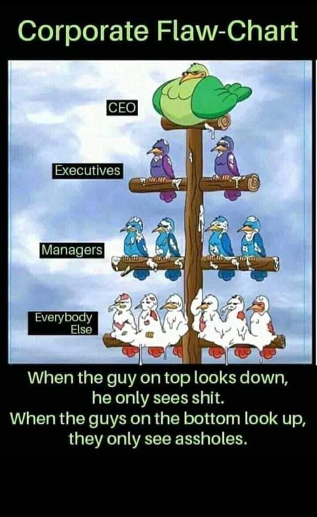 faizcheema01's tweet photo. https://t.co/hTsqPVfBO9