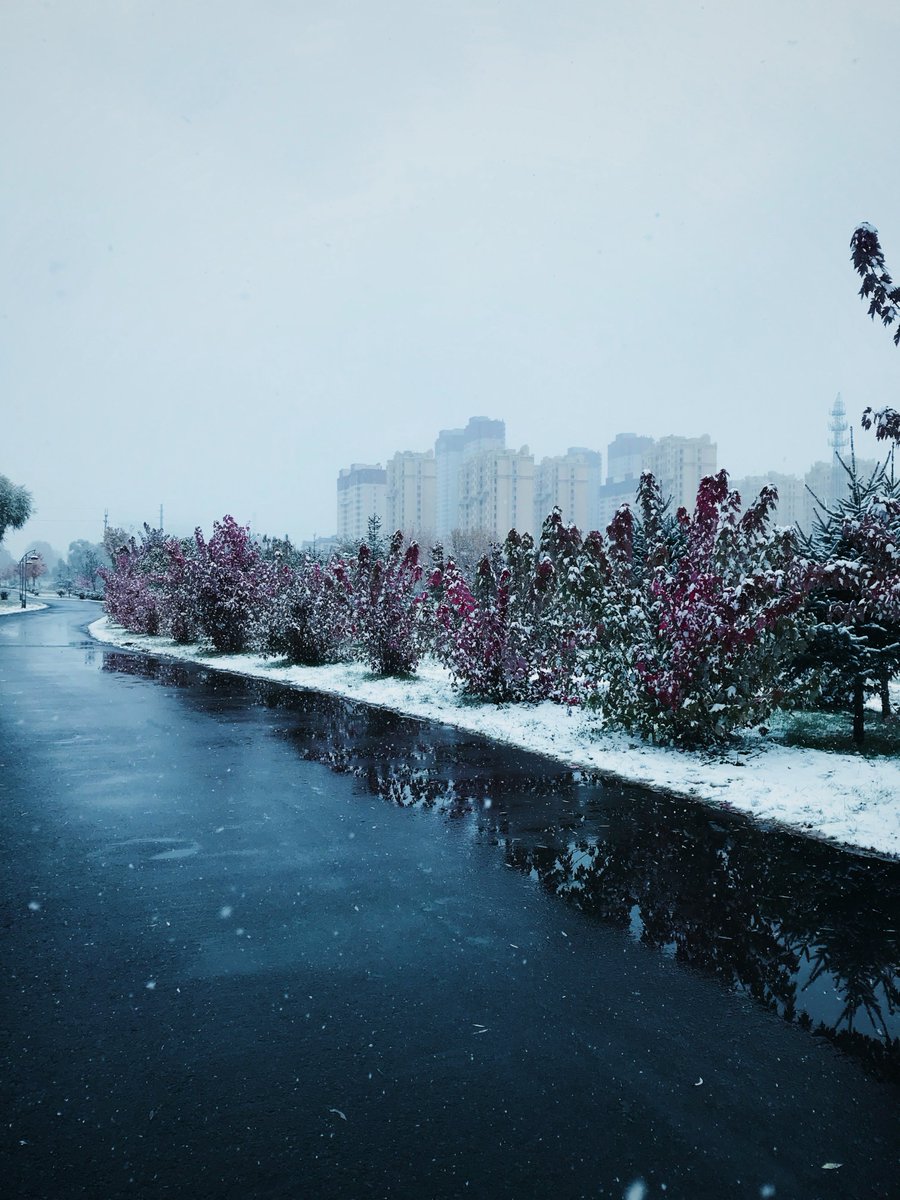 The first snow of 2025 has arrived. My hometown suddenly feels so quiet. Studying while watching the snow fall — it’s simple, but beautiful. ❄️🍁
#FirstSnow #WinterVibes #Photography #Hometown #SnowDay