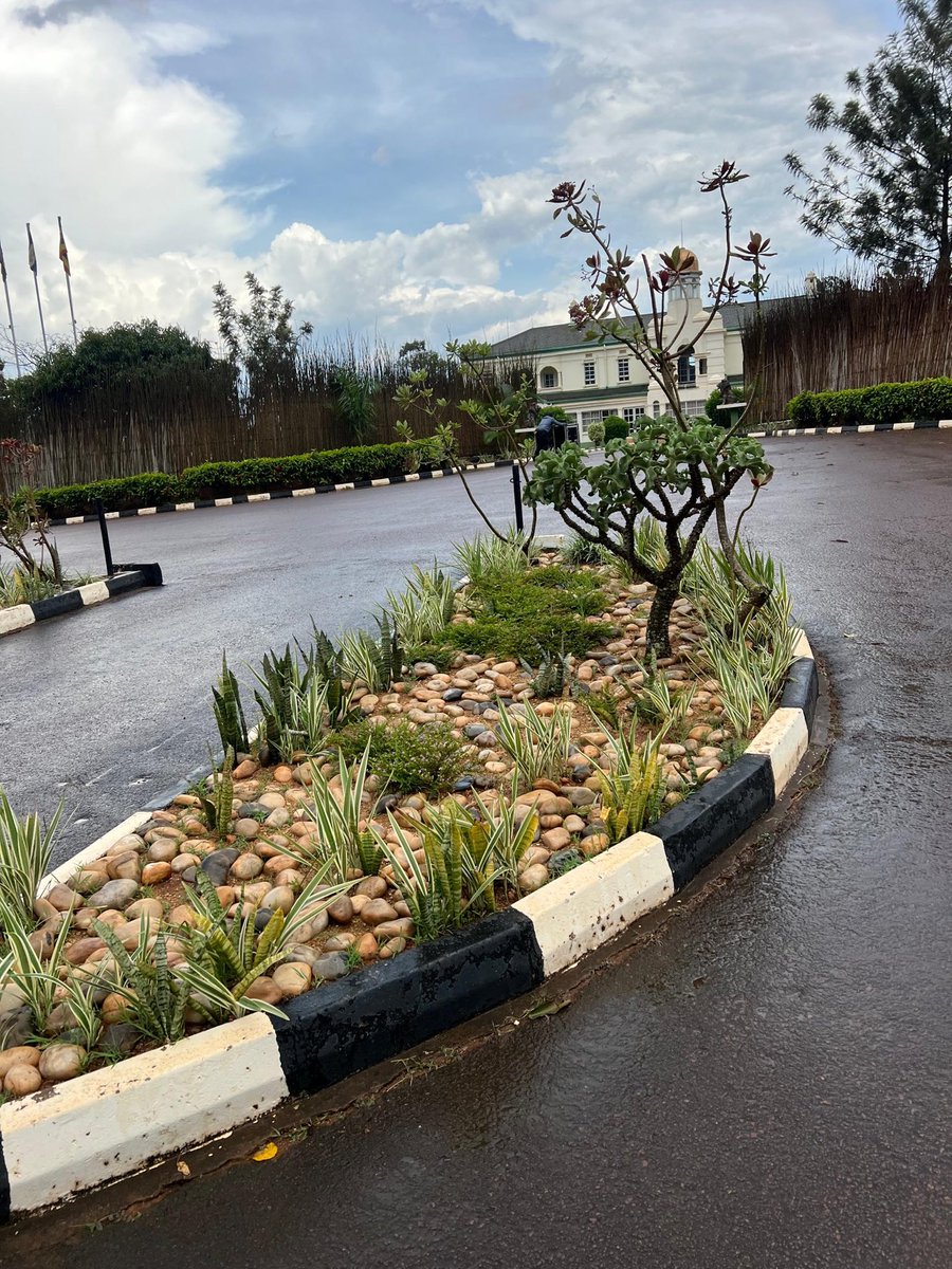 56Tribe's tweet photo. Inside the compound of Mengo Palace, there is a roundabout that only the Kabaka (king) is allowed to pass. 

Another sacred roundabout lies in the middle of the Kabaka Anjagala (Royal Mile), known as “Lukoma Nantawetwa” which also only the Kabaka uses. 

Along the road, candlenut trees were planted to represent the 56 clans of Buganda. Beside each tree stands a monument with the totem of that clan. 

In the past, whenever the Kabaka was passing, people would line up behind the tree of their clan, standing proudly to honor their king and show unity among the people of Buganda.

#tribe56