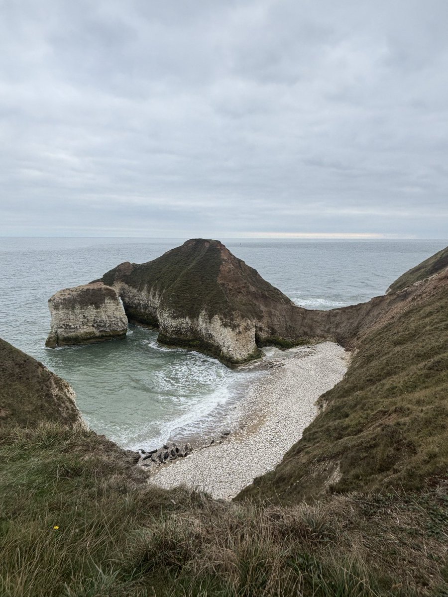 Wingfield Geography tweet media