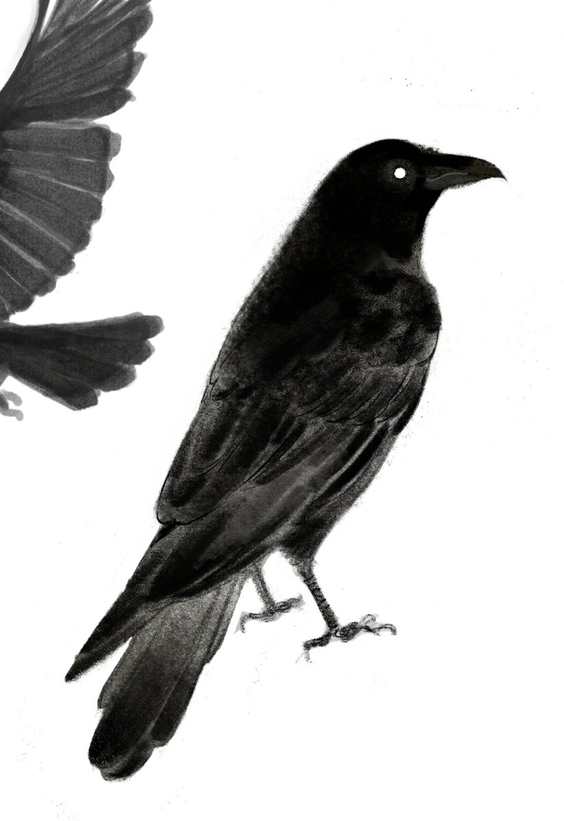 Tweet media one