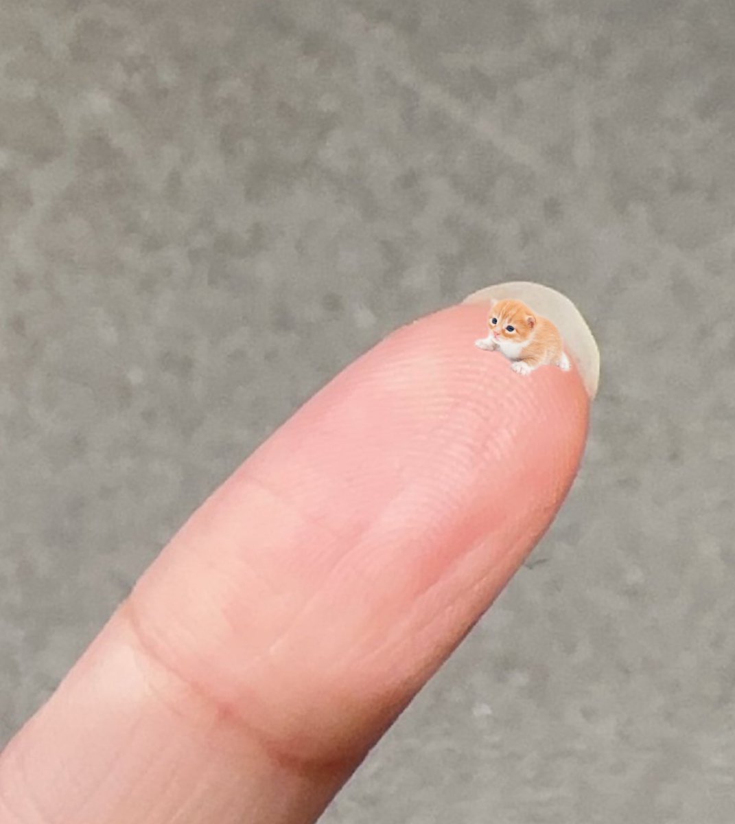 gary Korea (@higarykorea__) on Twitter photo 