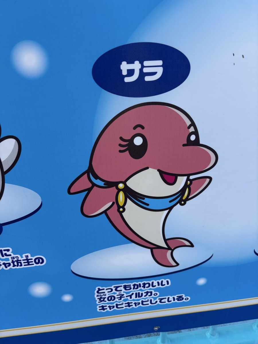 そういえば、こないだ下関にサラちゃんいた(^o^)