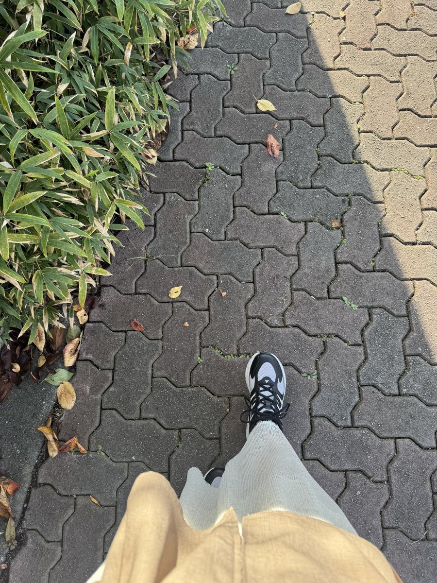 tp___hm's tweet image. 天気が良くて特別な日におろしたいと謎にこだわり続けディレイにディレイを重ね、やっと箱から出しCLIMACOOLでのおでかけでした👟💖

 #CLIMACOOL