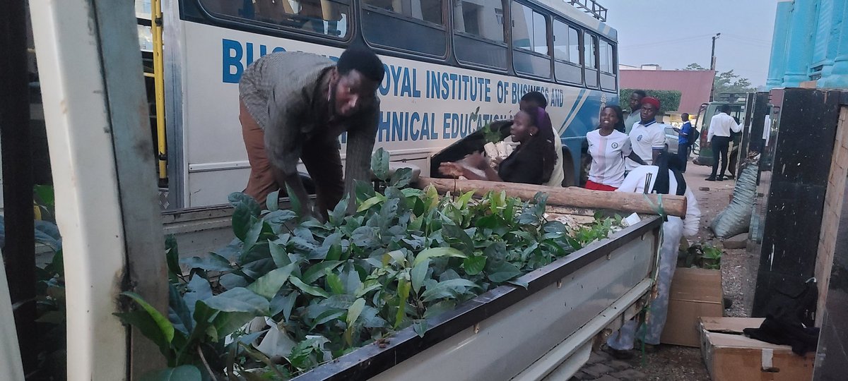 Rotaract Buganda Royal institute (The Trekkers) tweet media