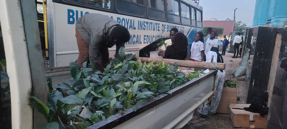 Rotaract Buganda Royal institute (The Trekkers) tweet media