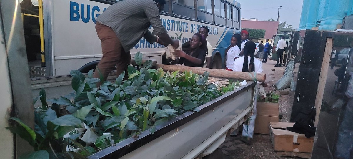 Rotaract Buganda Royal institute (The Trekkers) tweet media