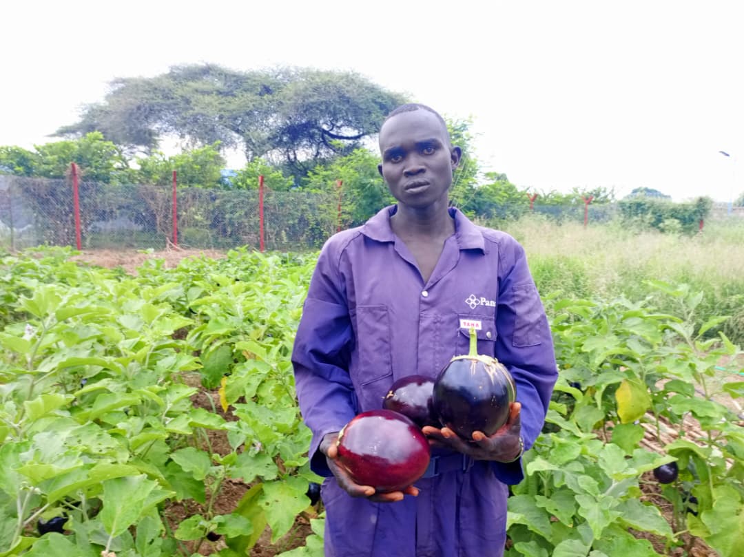 FAOSouthSudan's tweet photo. Kapoeta 📍
Every seed planted is a promise of life.
Thanks to training & seeds from @FAO, & water structure support from @AfDB_Group, Domenic is now harvesting abundantly from the demo farm.
Equipped with knowledge, he is ready to start his own #VegetableFarm 💧👨🌾🥬 https://t.co/Db0xtsj1of