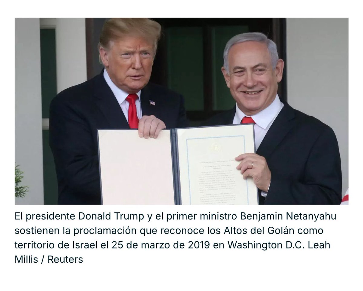 Laia Marsal Ferret tweet media