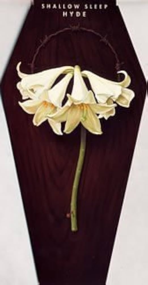 HYDE - SHALLOW SLEEP youtu.be/onGF1y0IZDw?si… <a href="/YouTube/">YouTube</a>より

今日は少し体が辛いけれど、
大丈夫。。