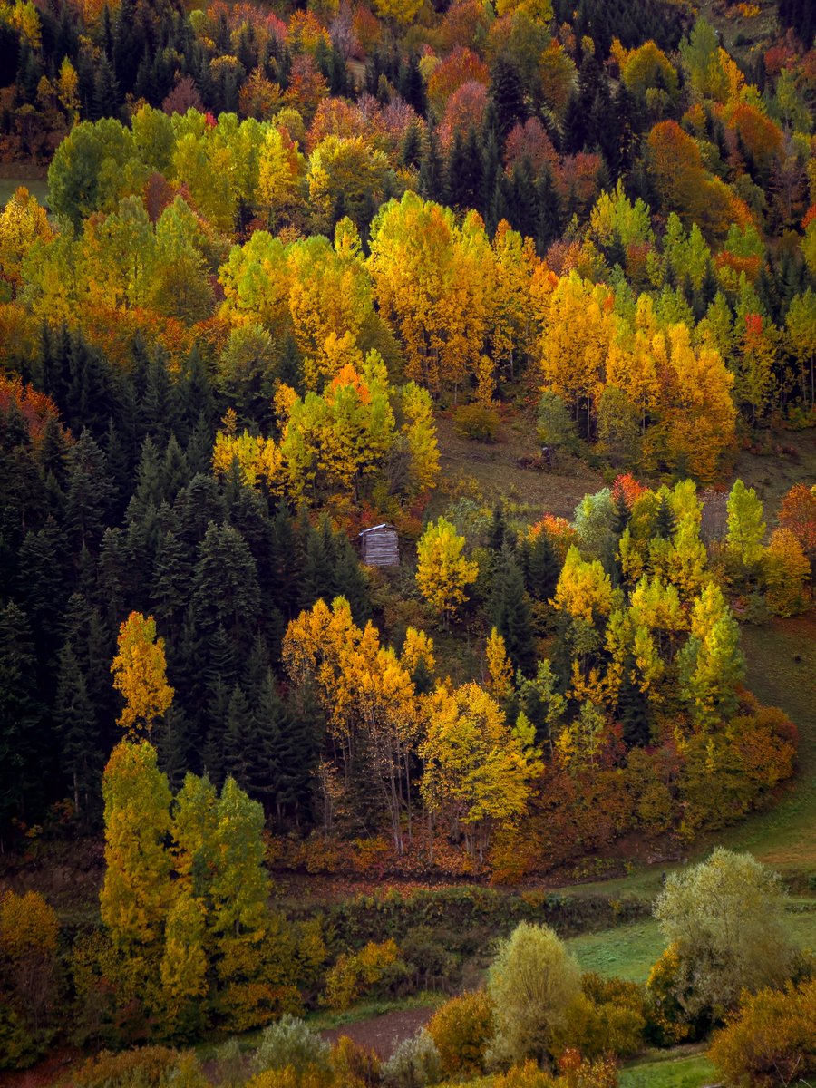 Şavşat Maden Köyü — Renklerin dans ettiği yer.