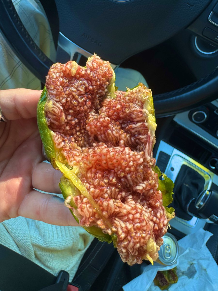 ec0maniac's tweet image. whoever was first to look at a fig and decide to eat it...... brave