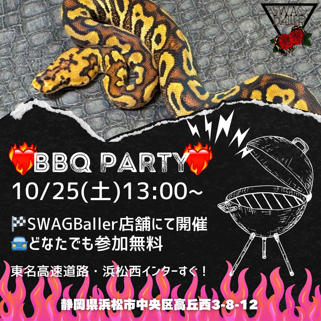 SWAGBaller0425's tweet image. ◤☀️SWAGBaller🐍BBQ☀️◢

真夏が終わり…いよいよ
SWAG店舗でBBQ開催🚘💖

▶❤️‍🔥10/25(土)13:00~20:00❤️‍🔥◀

どなたでも参加自由🤟🏻⚡️
爬虫類好き🦎ボールパイソン好き
ぜひ、お集まりください〜‼️✨

🏁駐車場15台あり🏁

#ボールパイソン
#爬虫類