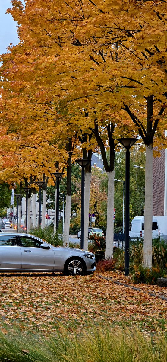 Scenes outside office 🍁🍂
