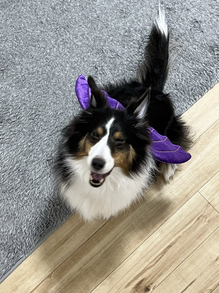 ERG YKG RacingProject tweet media