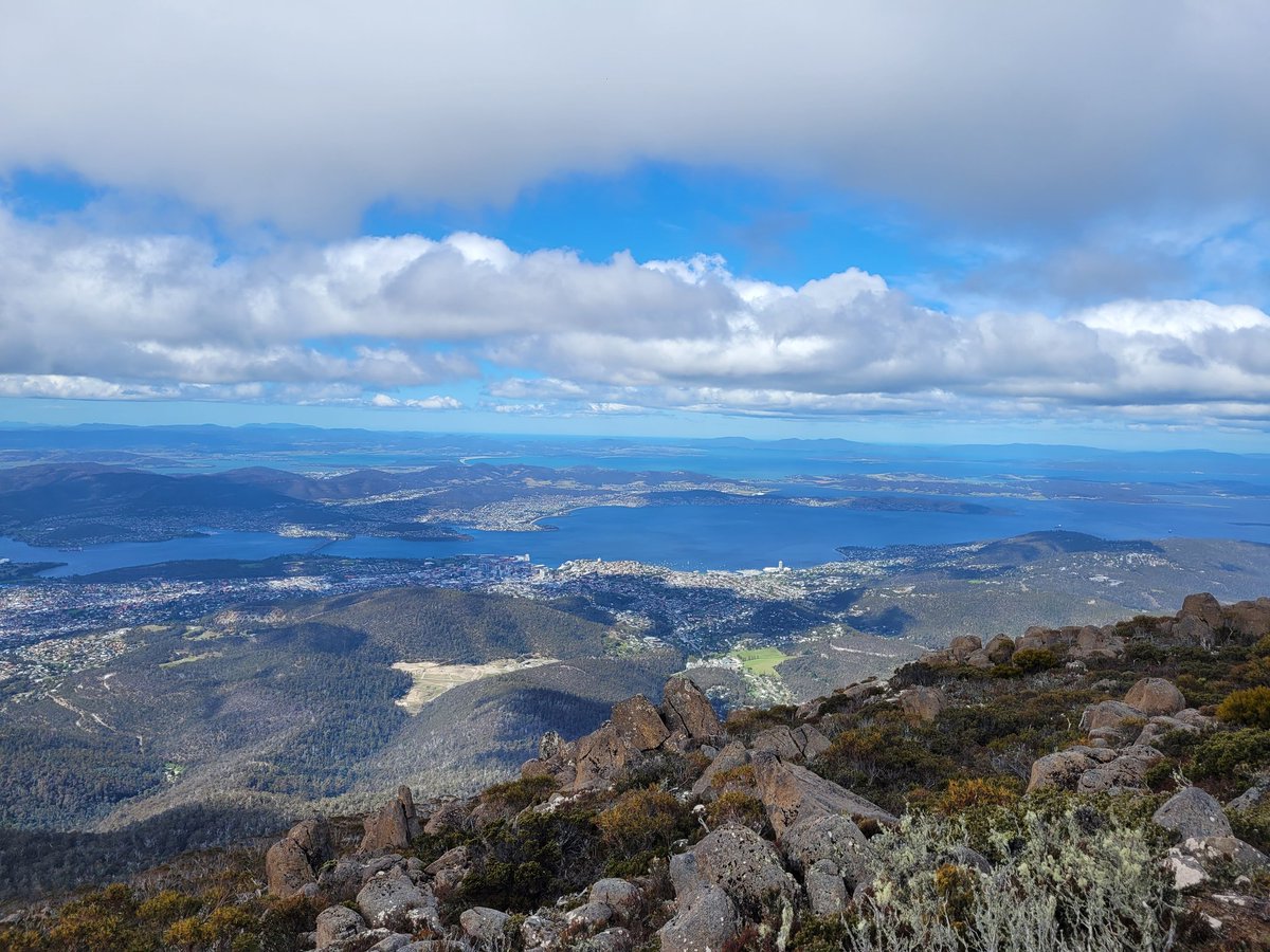 Tesha 🇳🇿 tweet media