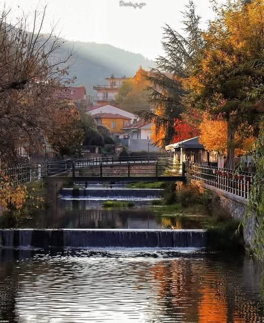 Καλημέρα! Να έχετε μια υπέροχη Παρασκευή!! 
Φλώρινα! 🇬🇷🩵🇬🇷