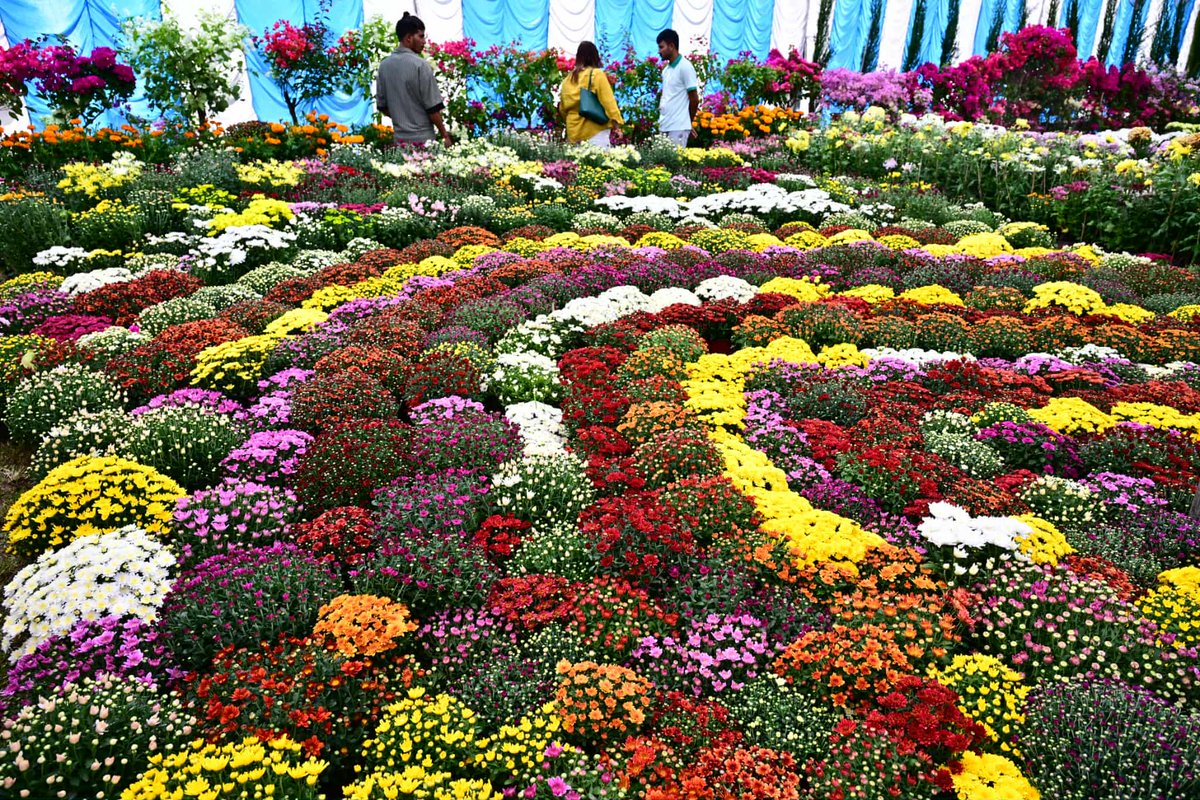 nepaltourismb's tweet image. 🌼 The vibrant marigolds of Tihar spread joy, light, and festive vibes all around! ✨

📸: Susheel Shrestha

Nepal Tourism Board - Gandaki Province Nepalnow.travel

#TiharVibes #MarigoldMagic #NepalNOW #VisitNepal #LifetimeExperiences #NepalTourismBoard