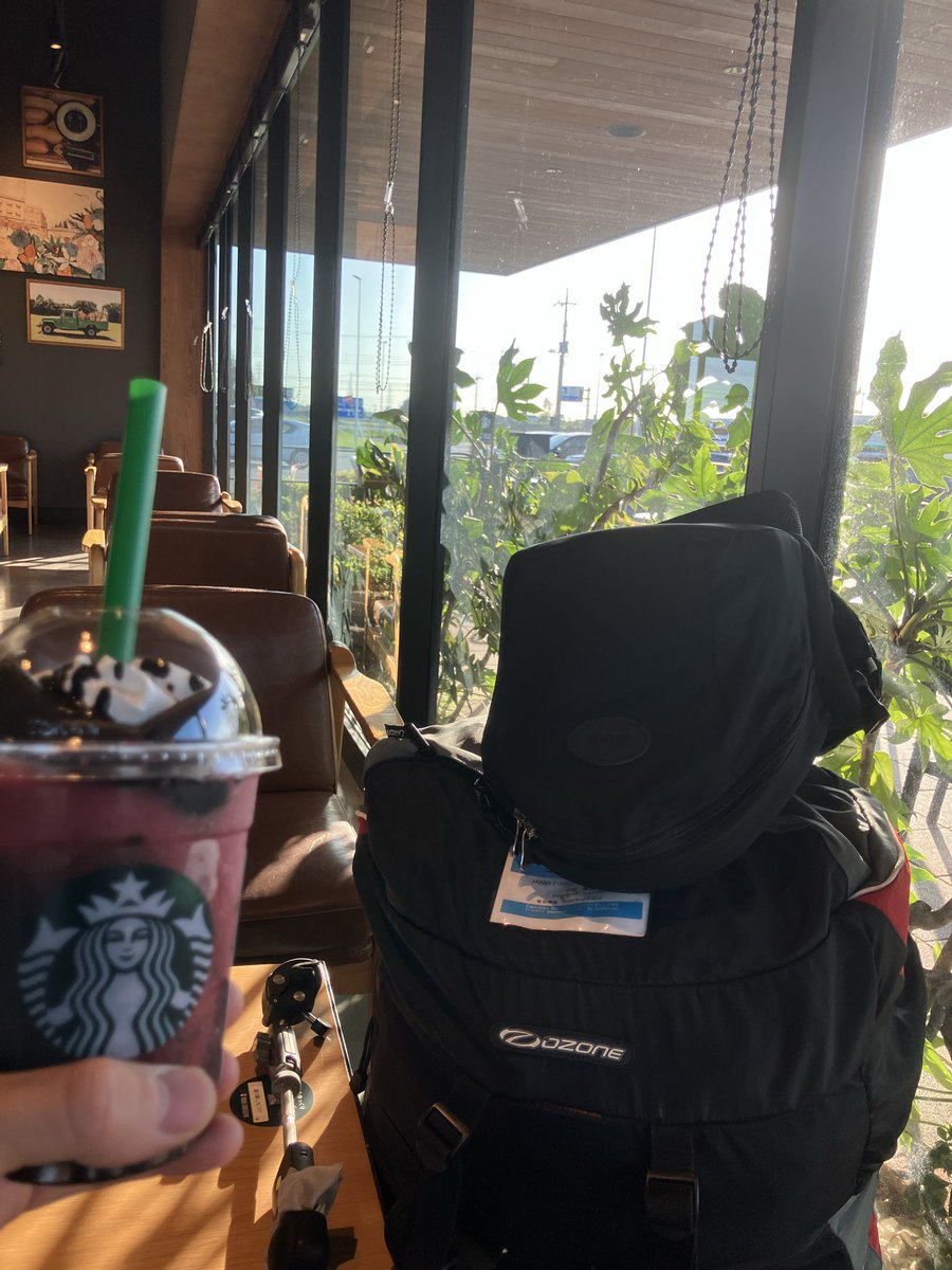 sky_climber73's tweet photo. パラグライダーでスタバのフラペチーノを飲みに来た https://t.co/mNbPz6qg8c