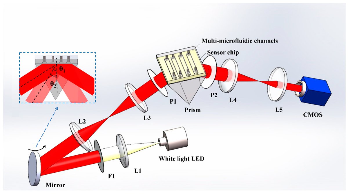 Biosensors_MDPI's tweet photo. 📣Call for Reading:
#Article
Intensity Interrogation-Based High-Sensitivity Surface Plasmon Resonance Imaging Biosensor for Apoptosis Detection in Cancer
by Xin Yuan, et al.
https://t.co/jBJUxgxLJt
#SPRi #apoptosis #cancer #labelfree
#biosensors #mdpi #openaccess https://t.co/obJt50ElN1