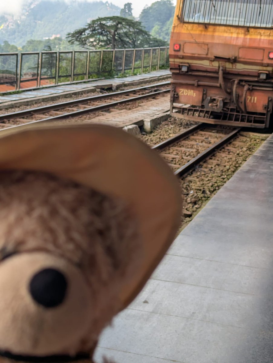 FlynnTheBear's tweet photo. Waiting for a Toy train at Shimla, this doesn't look like a Toy. #Flynn #FlynnTheBear #India #Shimla https://t.co/oNLEMgDTwK