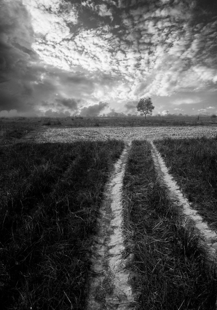 APARNA MONDAL (@aparnamondalnft) on Twitter photo An outstanding B&W photo by <a href="/arimitaNFT/">Arimita Mondal (Diti) ๐ธ๐ธ๐ธ</a> An outstanding B&W photo by <a href="/arimitaNFT/">Arimita Mondal (Diti) ๐ธ๐ธ๐ธ</a>