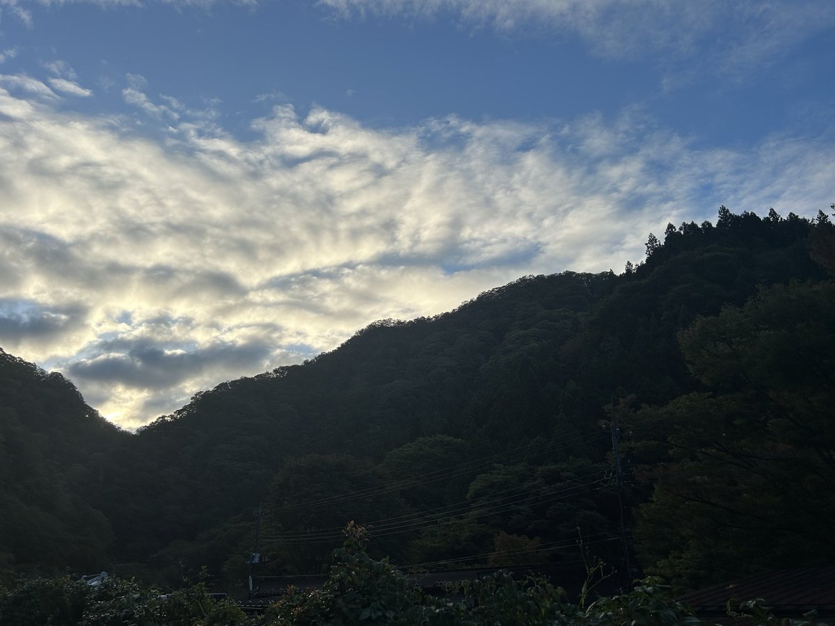 ransanx's tweet photo. 金木犀シーズンは
ワクワクしますね٩( ᐛ )و

今年も楽しい旅でした(*´-`)🤍
自分の時間を大切に丁寧に
過ごせるようになったのを
実感出来た٩( 'ω' )و

４枚目は朝一番、旅館を出た私の前に
ヒラヒラ舞い降りてきた天使です(ˆωˆ) https://t.co/C49chVntOX