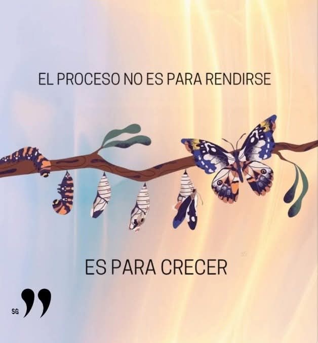 VidaEquilibrada (@vidaequilibrad4) on Twitter photo 