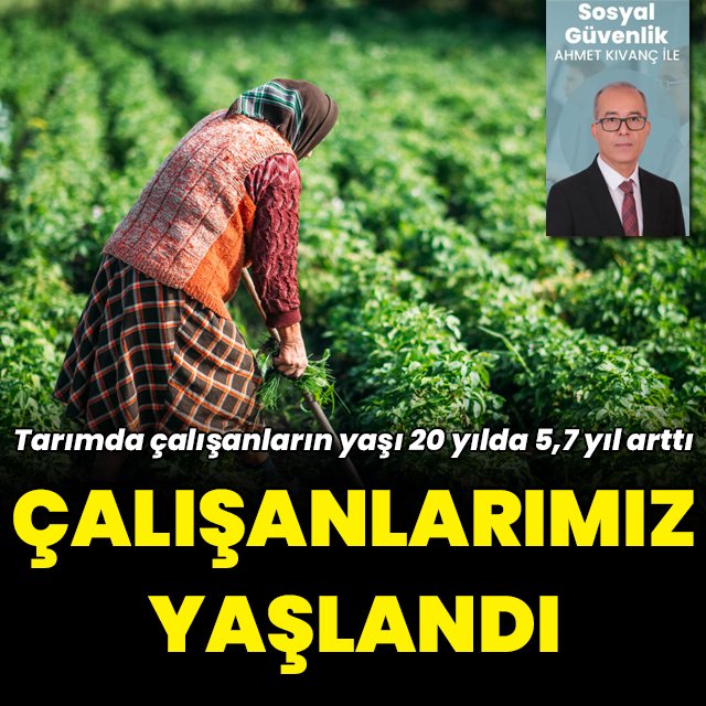 Cumhurbaşkanlığı Strateji ve Bütçe Başkanlığı verilerine göre, Türkiye’de çalışanların yaş ortalaması son 20 yılda tüm sektörlerde yükseldi.

Tarımda erkeklerin yaş ortalaması 5,7, kadınların 6,2 yıl arttı; 65 yaş üstü erkeklerin oranı yüzde 16’ya çıktı. Sanayide ise artış