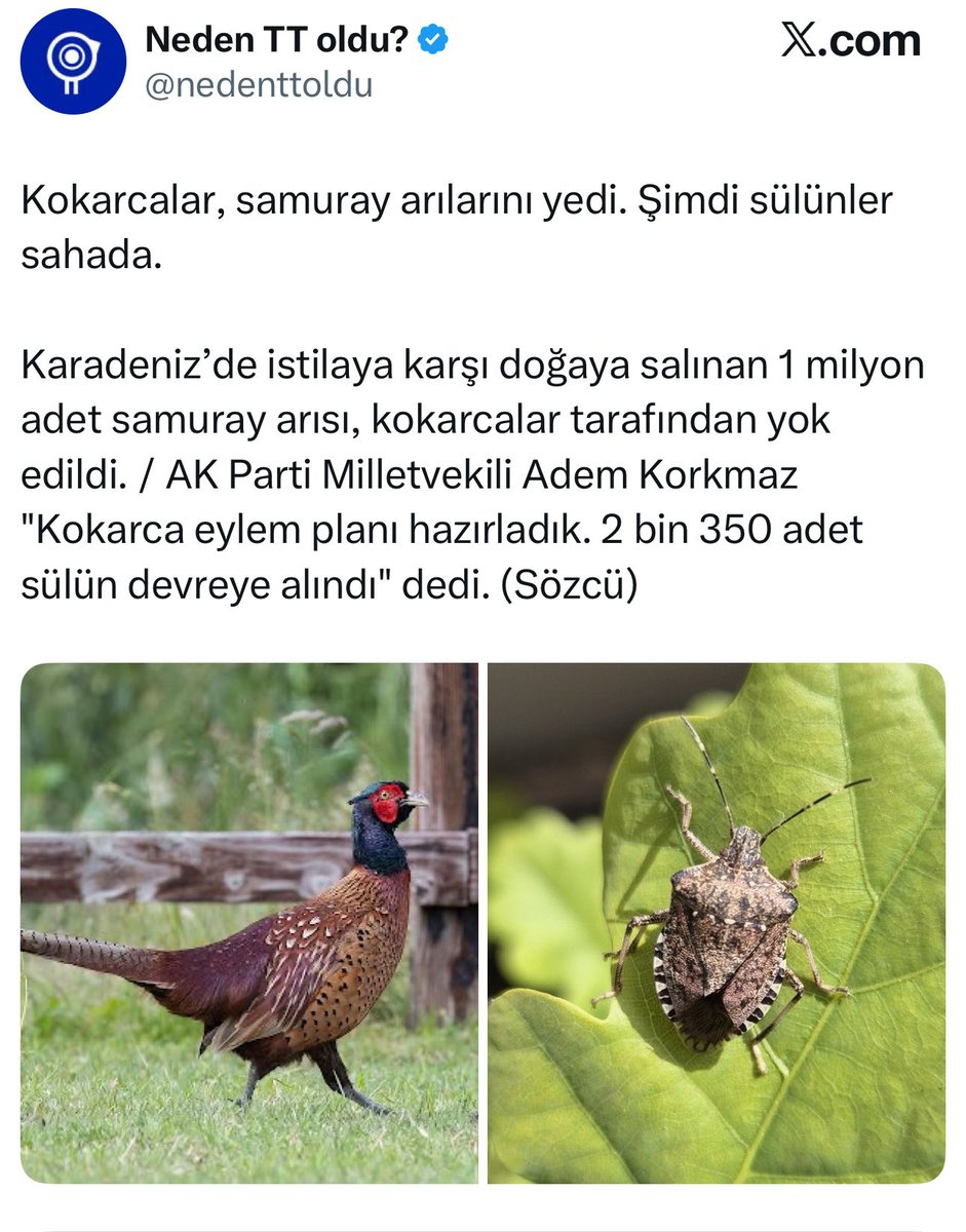 Oysa ben adım adım dakika dakika yıllardır uyardım . Görmediler, hâlâ görmüyorlar x.com/fatihcolak1983…