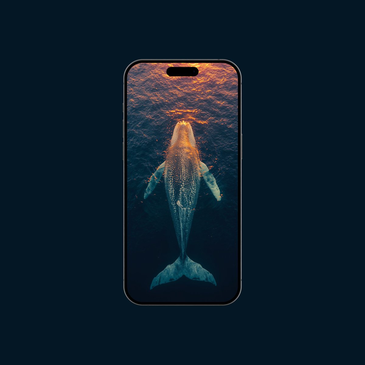 New wallpaper HD
#freewallpaper #Wallpapers #WallpaperDesign