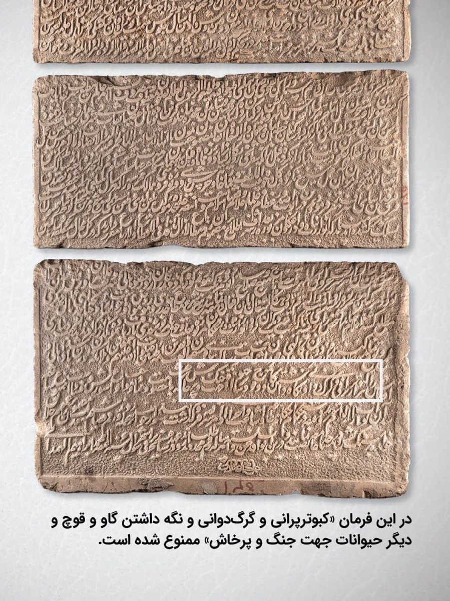 Cyan_pub's tweet photo. این جلد حجم زیادی دارد و بین هشت جلد اول مفصلترین دوره را به خود اختصاص داده. چاپ و صحافی جلد پنجم تا هشتم تاریخ ایران که از سقوط ساسانیان آغاز شده و تا سقوط صفویان ادامه پیدا کرده، از ابتدای آبان آغاز خواهد شد. https://t.co/WUKSrv77dT