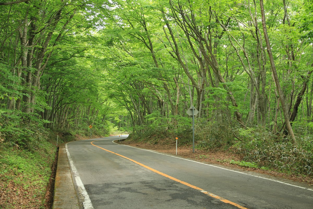 連なる山 じょあ (@KSG2999) / Posts / X