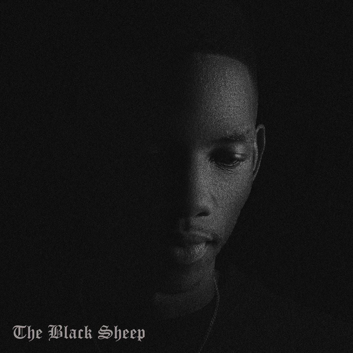 #TheBlackSheep tweet media