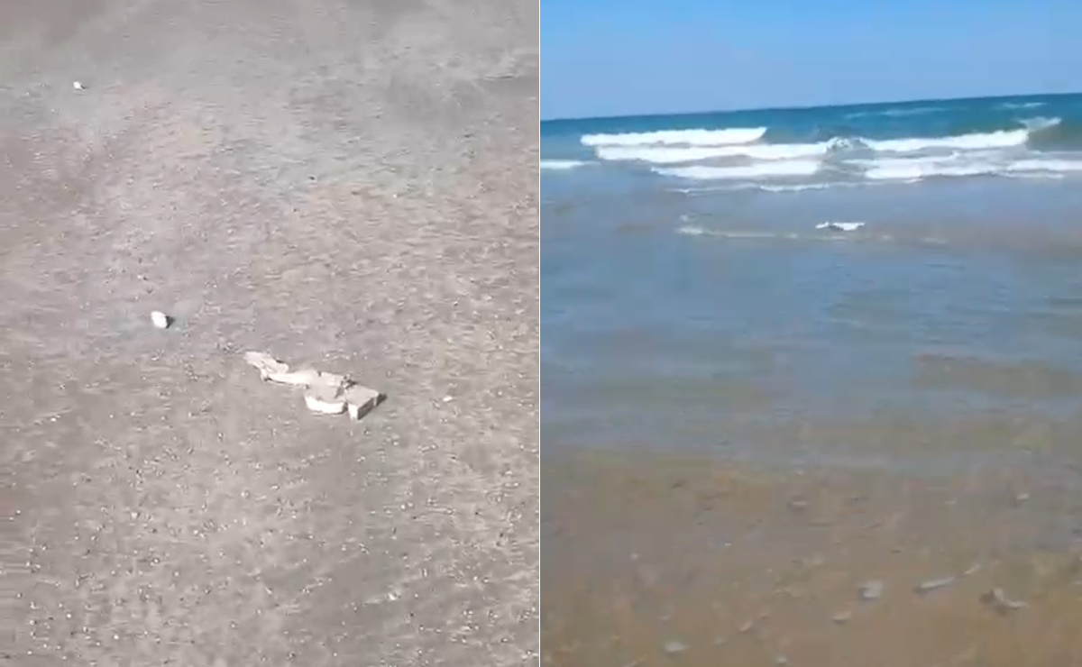 Hallan presunta basura espacial y delfines muertos en playa Bagdad, Tamaulipas

lopezdoriga.com/?p=1744685