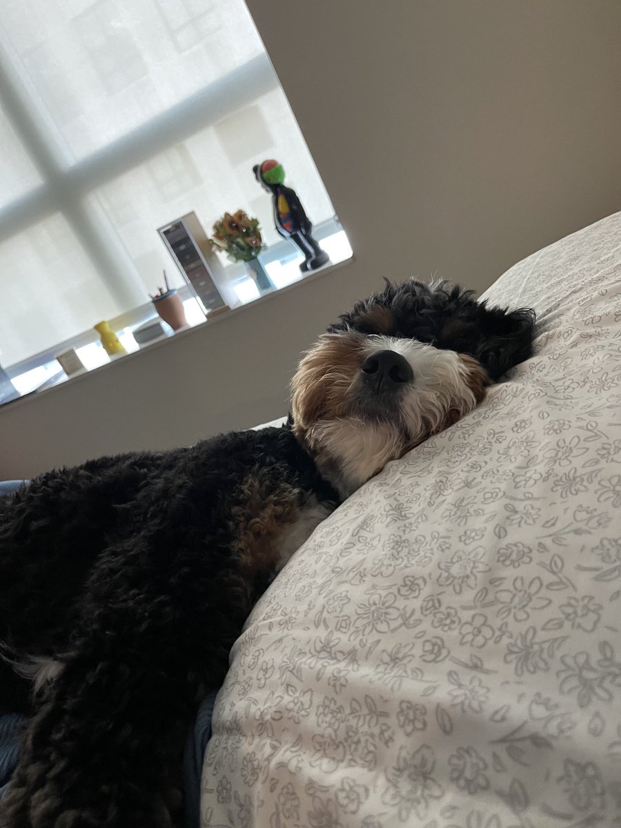 _nandalapanda's tweet photo. How you sleep knowing your parents are nurses and all their money goes to spoiling you. https://t.co/Q3hGZrFUsU