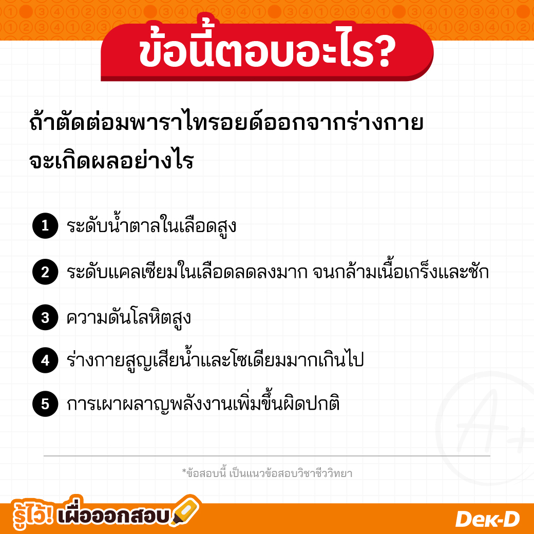 webdekd's tweet image. #แจกแนวข้อสอบ ถ้าตัดต่อมพาราไทรอยด์ออกจากร่างกาย จะเกิดผลอย่างไร
1. ระดับน้ำตาลในเลือดสูง
2. ระดับแคลเซียมในเลือดลดลงมาก จนกล้ามเนื้อเกร็งและชัก
3. ความดันโลหิตสูง
4. ร่างกายสูญเสียน้ำและโซเดียมมากเกินไป
5. การเผาผลาญพลังงานเพิ่มขึ้นผิดปกติ
#รู้ไว้เผื่อออกสอบ #ข้อนี้ตอบอะไร…